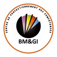 bm_gi_logo